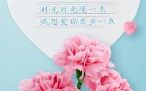 感恩妈妈的话简短精辟（表达对妈妈的爱的短语）