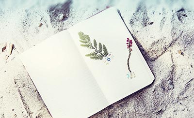 网友:海尔计算机类笔题