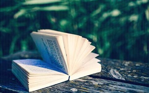 和公司谈薪如何开口