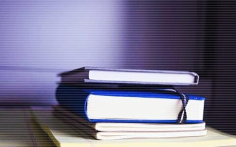 交际圈与高薪是最为密切因素之一