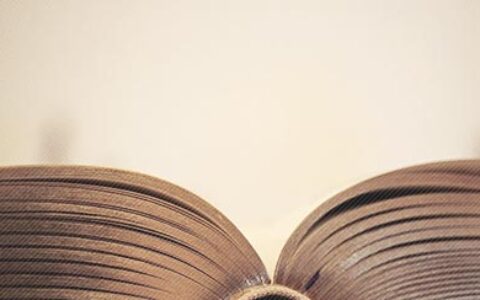 步步为营与老板谈加薪