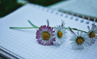 河北：24小时月嫂月薪最高达1800元