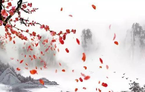 如梦令其二李清照词（如梦令全词欣赏）