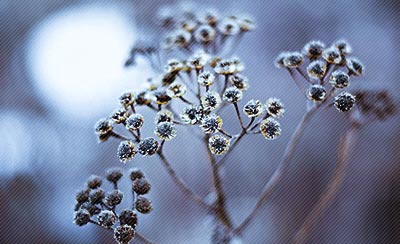 年轻人怎么可以混日子