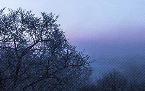 关于高考的演讲稿