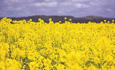 高三冲刺励志文章摘选