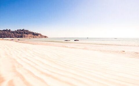 高三阶段怎样有效安排时间