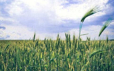 写给高三学生：你在为谁读书？