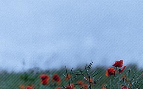 写给高考失败的考生