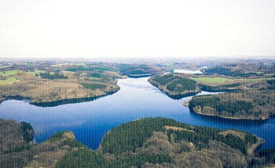 高三励志故事三则