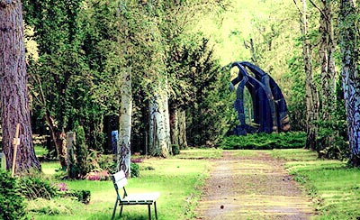 高三学子的励志宣言分享