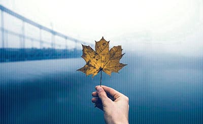 高三百日冲刺励志口号