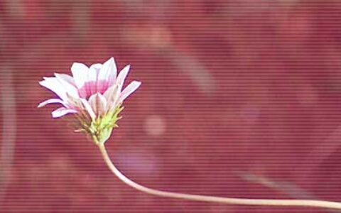 关于高三励志的话语