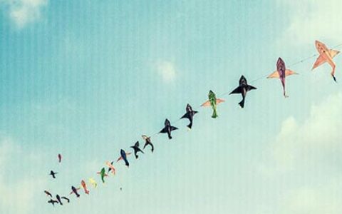 我和我追逐的梦想