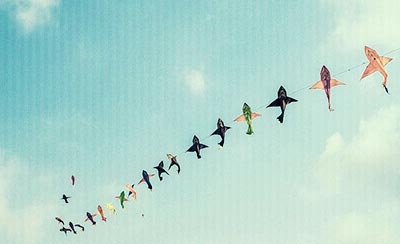 我和我追逐的梦想