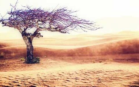 为什么要自主学习