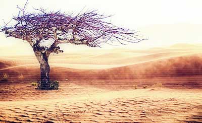 为什么要自主学习