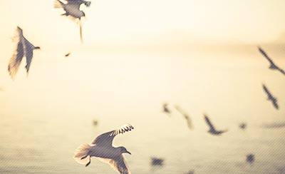 高三励志文章：决定成败的力量