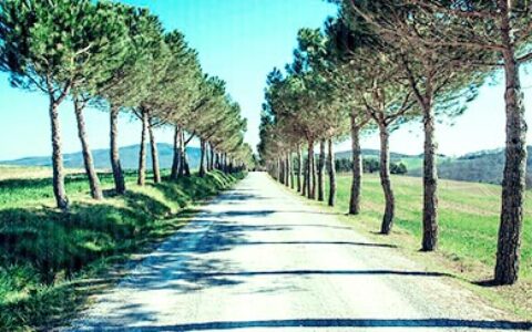 祭奠已经逝去的高三