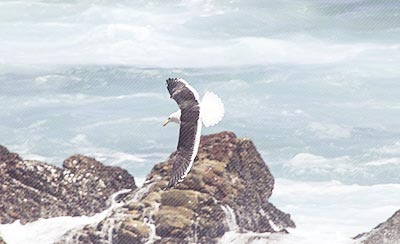 听高考过来人的讲述