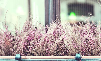 高考，智者相逢仁者胜