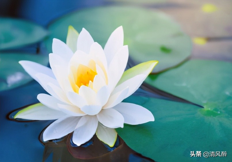 六一儿童节的句子有哪些（六一儿童节语录短句）