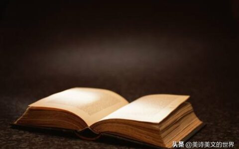 木兰诗最后一段的作用（木兰诗详略安排的作用）