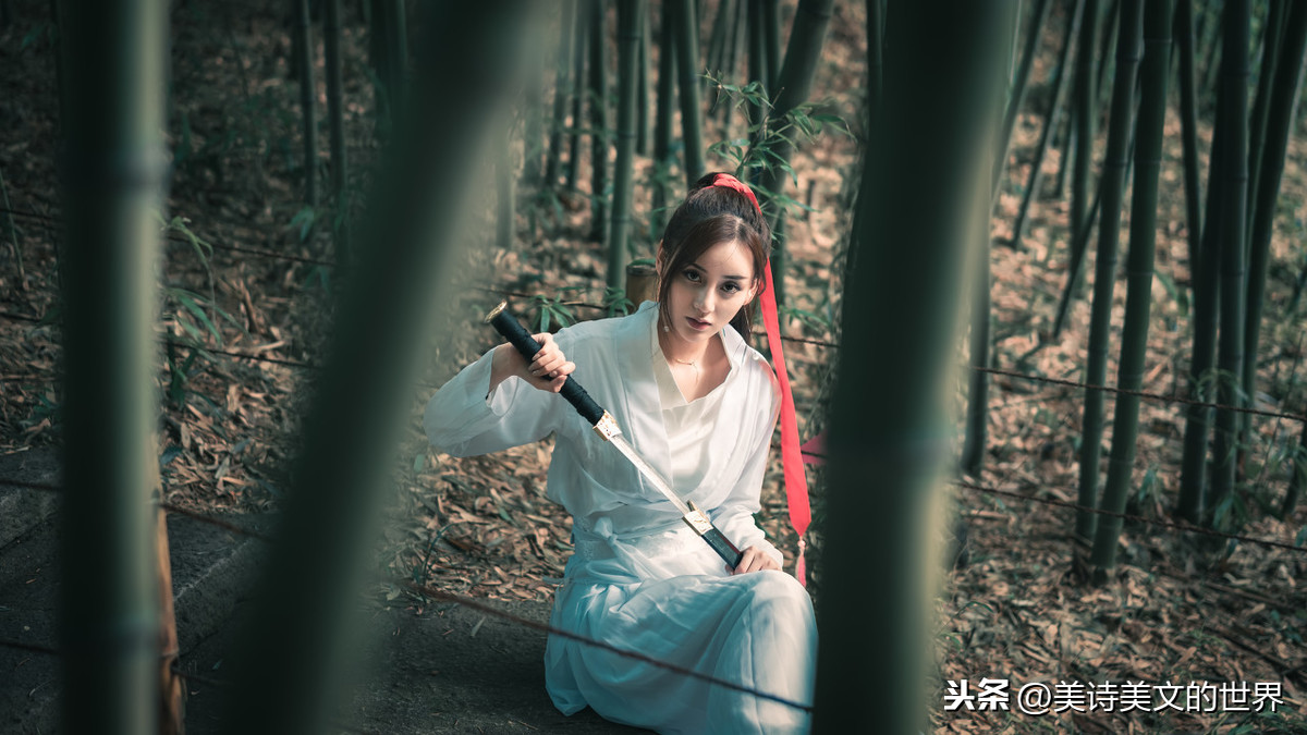 木兰诗最后一段的作用（木兰诗详略安排的作用）
