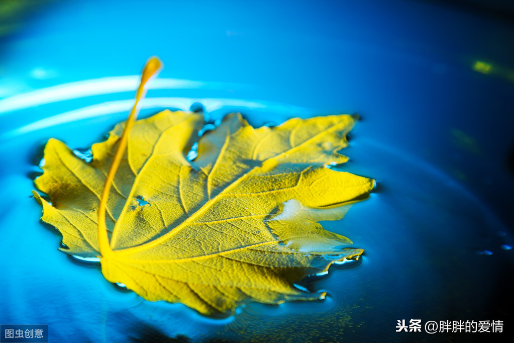 描写四季轮回的哲理句子（四季更替的人生感悟）