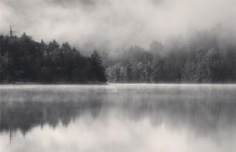 外国诗歌经典（外国著名的短诗分享）