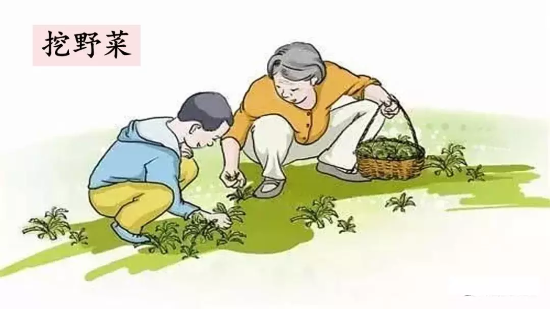 二年级古诗咏柳的意思（分享古诗咏柳全诗及释义）