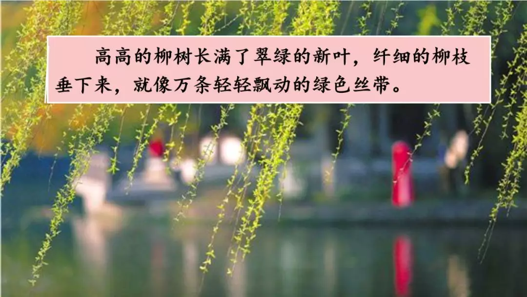 二年级古诗咏柳的意思（分享古诗咏柳全诗及释义）