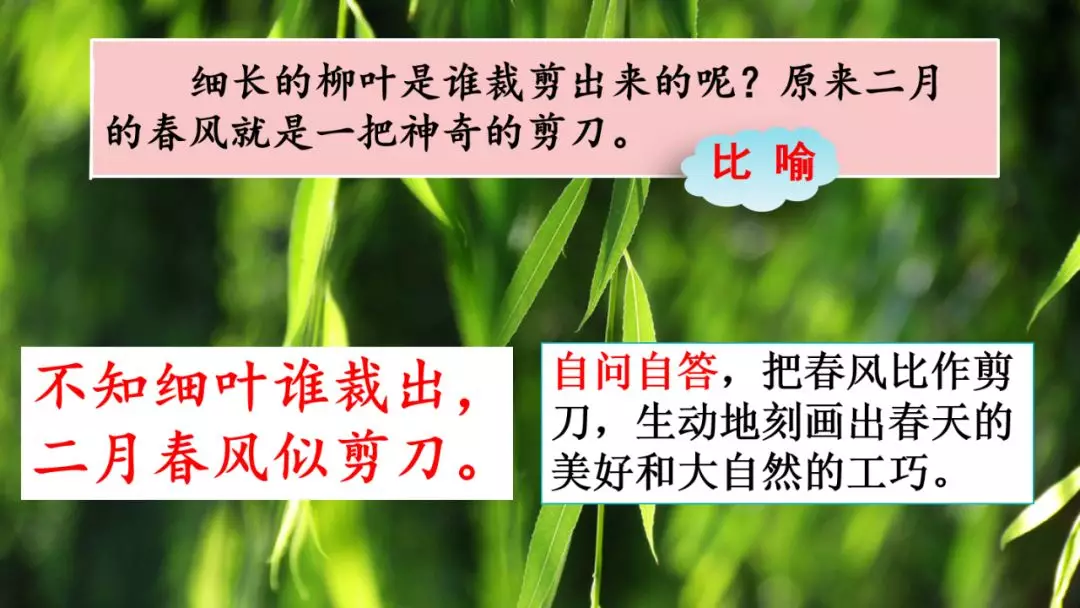 二年级古诗咏柳的意思（分享古诗咏柳全诗及释义）