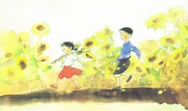 青铜葵花主要内容（青铜葵花梗概500字）
