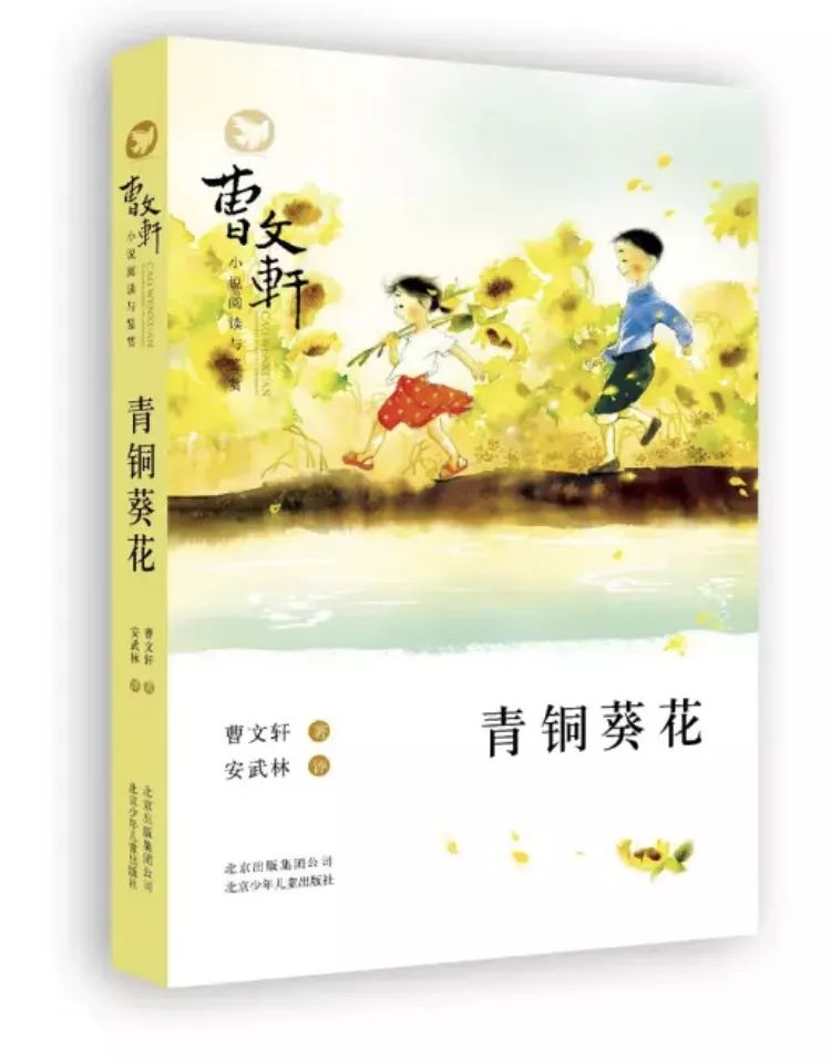 青铜葵花主要内容（青铜葵花梗概500字）