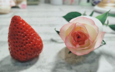 讽刺一个人作死的句子（高级的含蓄的骂人的话）