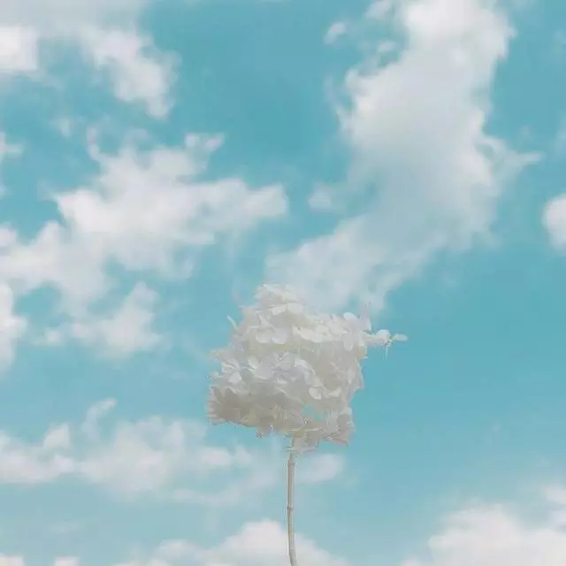 精彩人生的优美句子（活出自己的经典句子）