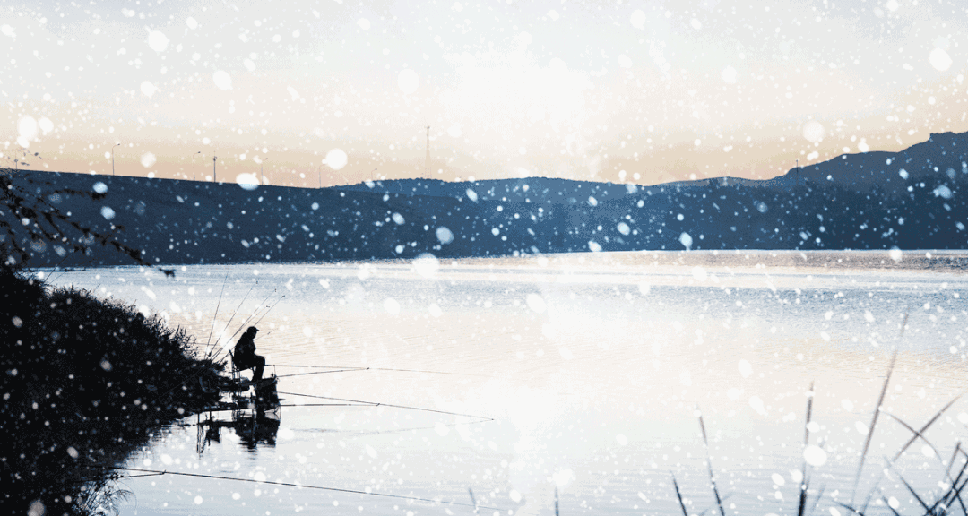 雪的诗句古诗大全（描写雪景的诗句古诗）