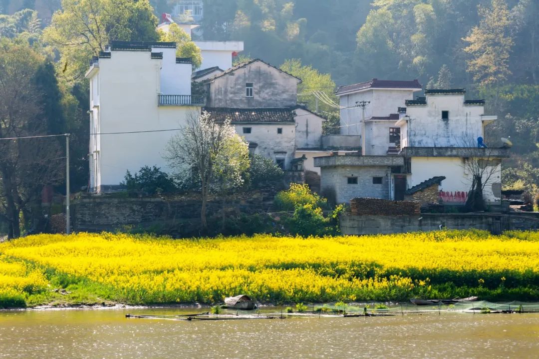 写清明节的诗句古诗（描写清明节的句子佳句）