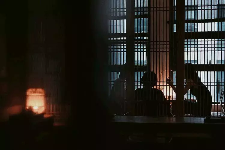赏月诗句优美的句子（关于赏月思念的诗句）