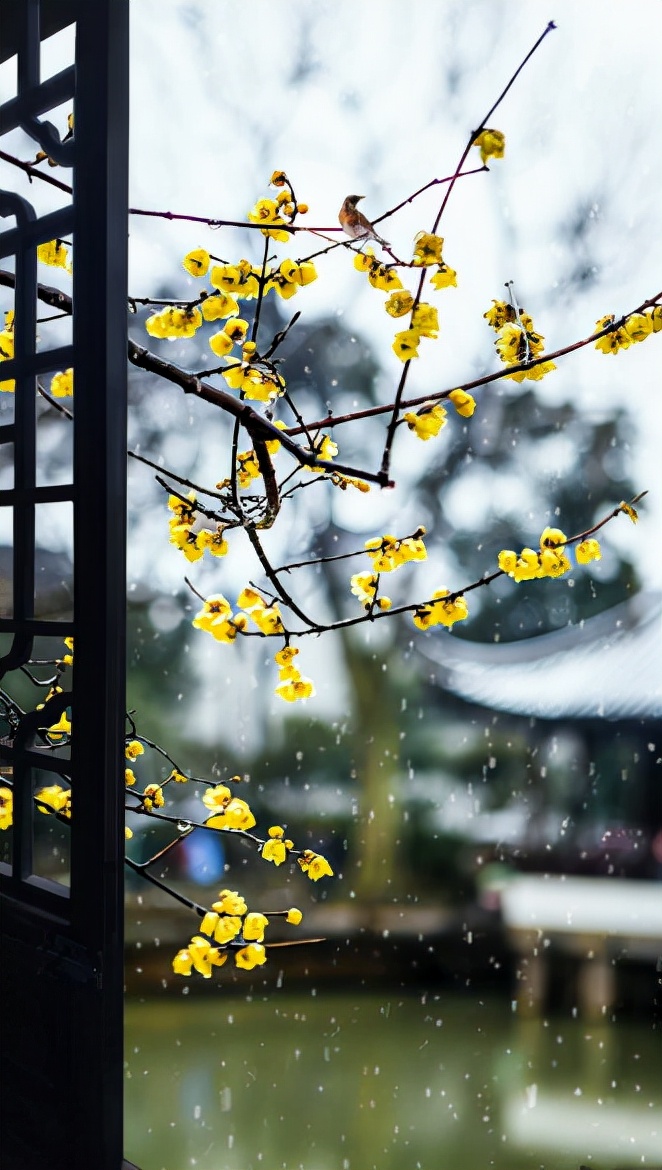 山上雪景句子唯美简短（描写大山雪景的优美句子）