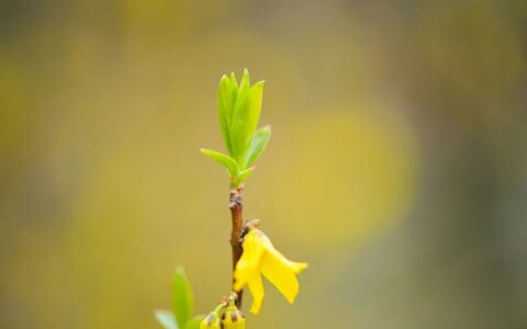 青春励志诗歌短篇（正能量的文章青春励志）