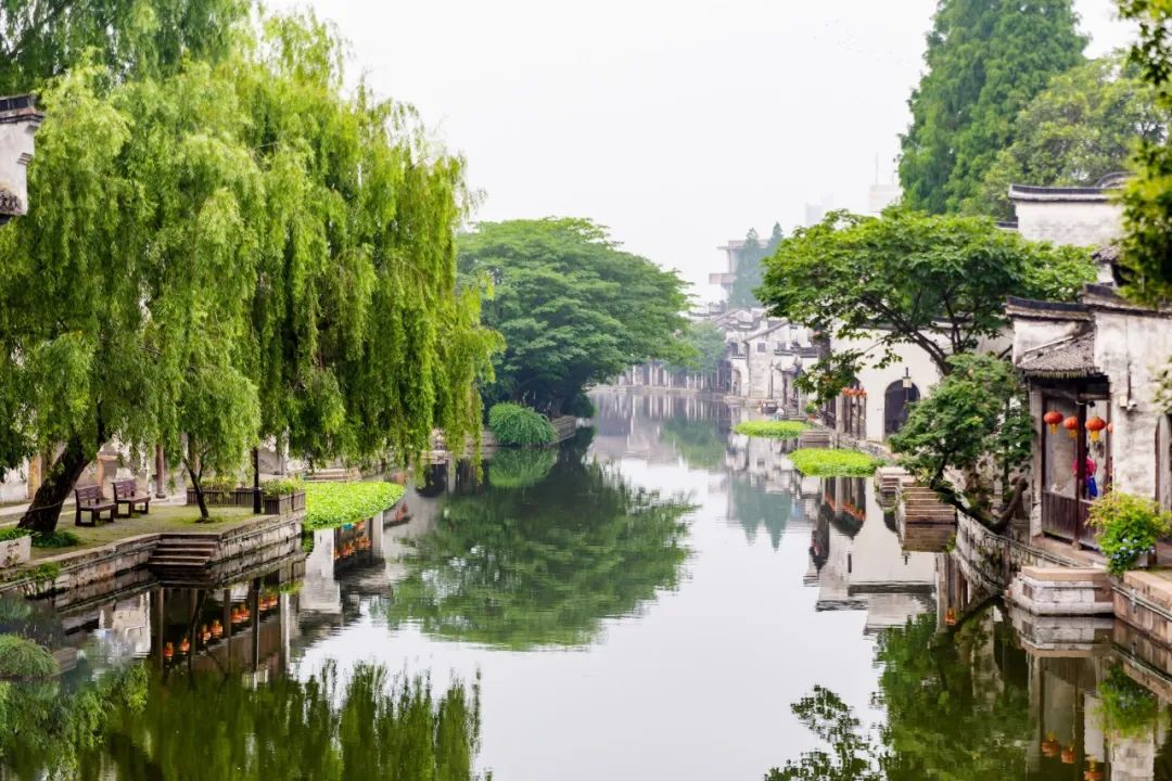 清明节的古诗有哪些（关于清明节的诗句佳句）