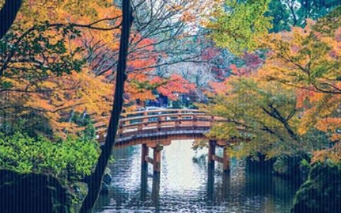 23岁成百万富豪