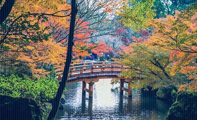 23岁成百万富豪