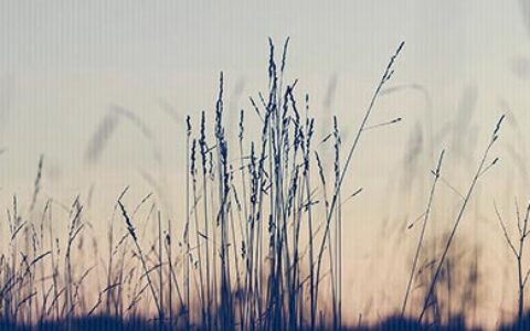 毕业知道自己能做什么太重要