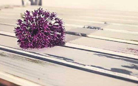 写给大学生们的建议