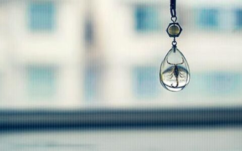 阻碍成功考研的三大因素