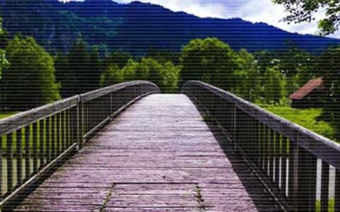 经典考研励志语录