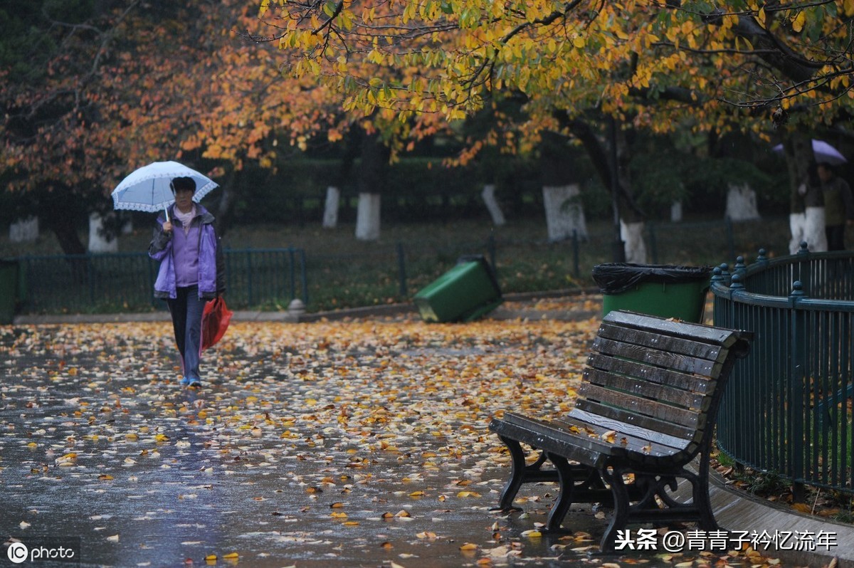 有钱没钱的经典语录（关于钱的经典语录）